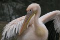 Zoo Straubing_051